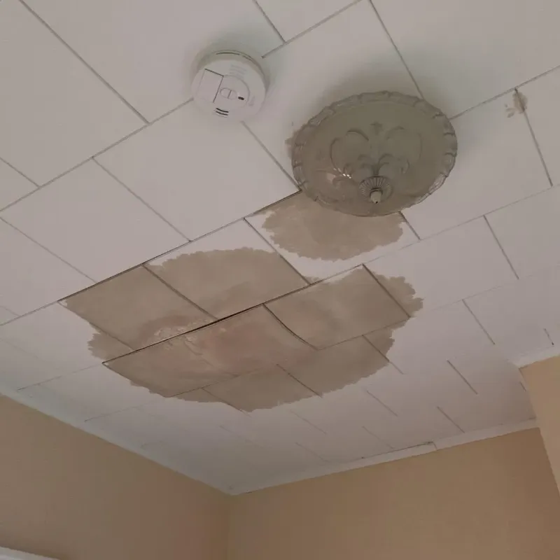 Ceiling Water Damage Repair in Monroe County, MO