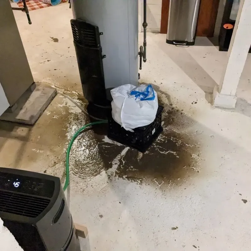 Sewage Backup Cleanup Service in Monroe County, MO